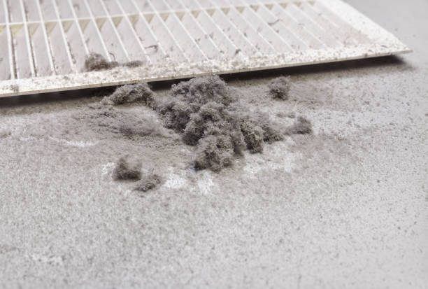 Best Duct Cleaning for Offices  in Freeland, MI