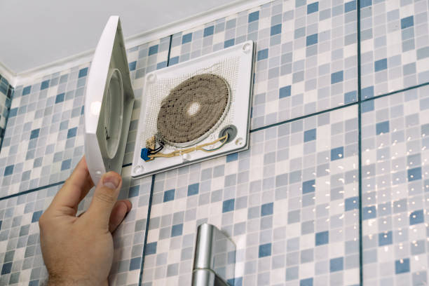 Best Residential Air Duct Cleaning  in Freeland, MI