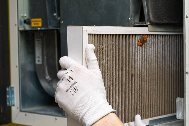 Home Air Vent Cleaning in Freeland, MI
