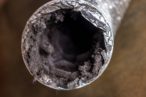 Best Air Duct Cleaning Near Me  in Freeland, MI