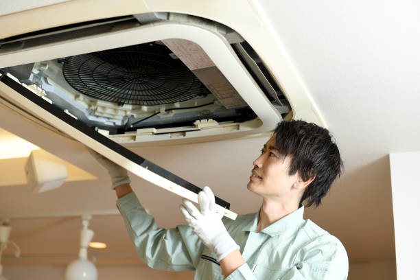 Best Local Air Duct Cleaning Services  in Freeland, MI