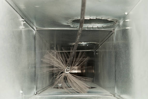 Best Professional Duct Cleaning Services  in Freeland, MI