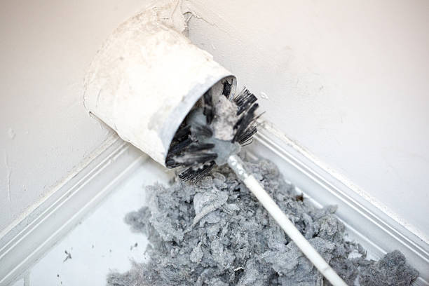Best Commercial Air Duct Cleaning  in Freeland, MI