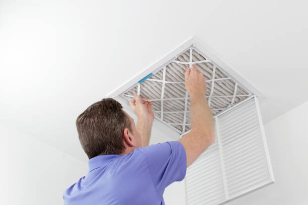 Best Ductwork Cleaning Services  in Freeland, MI